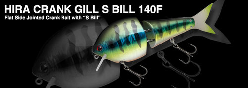 hiracrank_gill_s_bill_140f.jpg