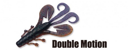 doublemotion-572x227.jpg