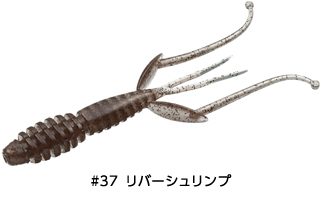 c4shrimp28_c37.jpg